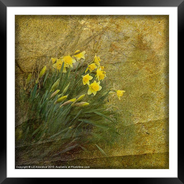 Spring Time Framed Mounted Print by LIZ Alderdice