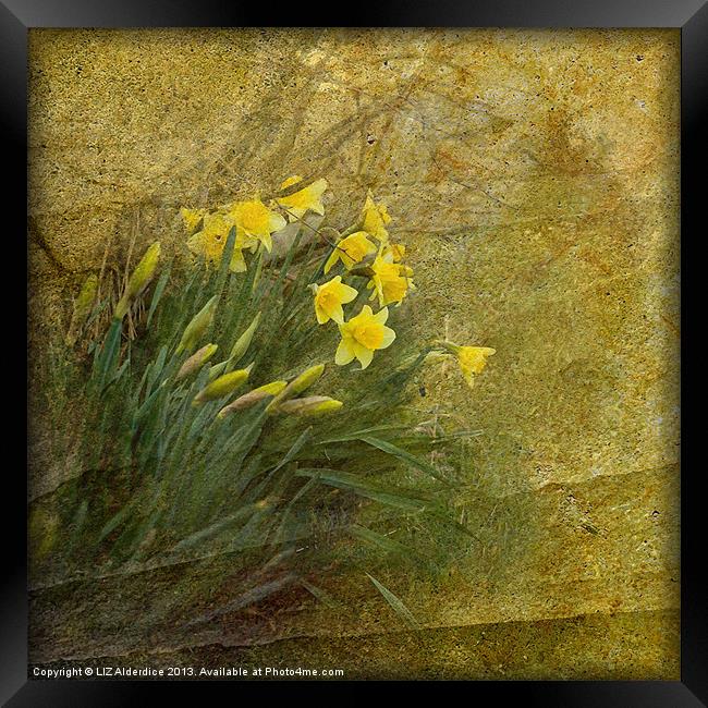Spring Time Framed Print by LIZ Alderdice
