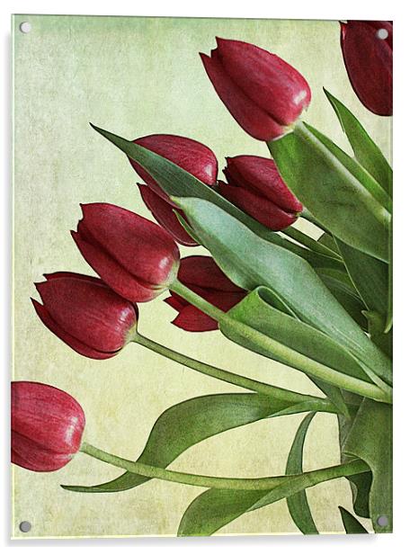Red Tulips Acrylic by Rosanna Zavanaiu