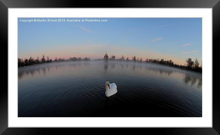 Swan on the pond Framed Mounted Print by Martin Billard
