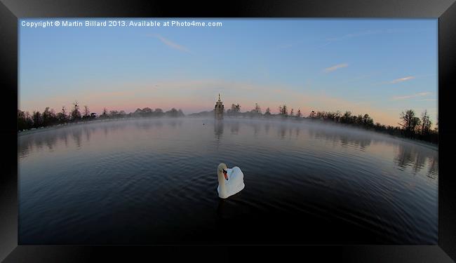Swan on the pond Framed Print by Martin Billard