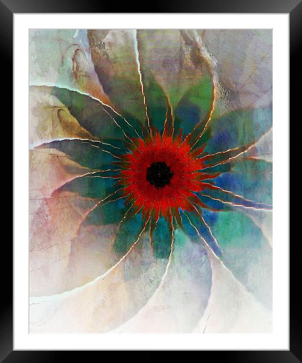 In Glass Framed Mounted Print by Amanda Moore
