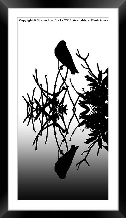 Black Birds 2 Framed Mounted Print by Sharon Lisa Clarke