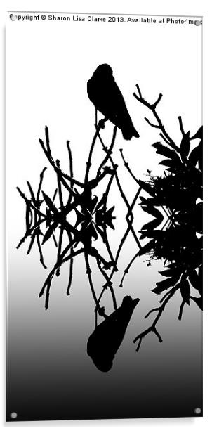 Black Birds 2 Acrylic by Sharon Lisa Clarke