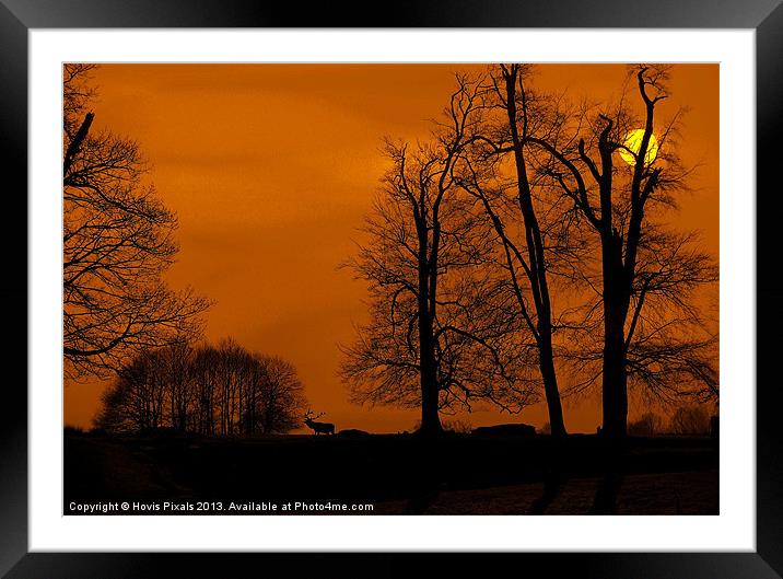 Silhouette Park Framed Mounted Print by Dave Burden