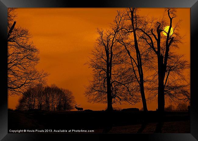 Silhouette Park Framed Print by Dave Burden