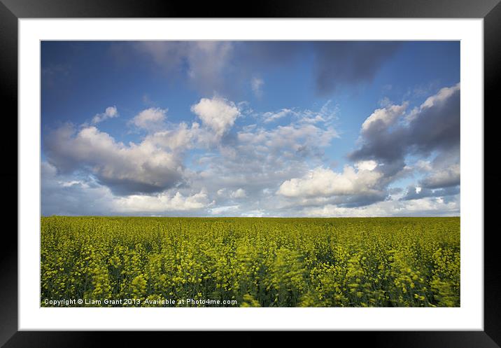Clouds over field of Rape, Egmere, Walsingham, Nor Framed Mounted Print by Liam Grant