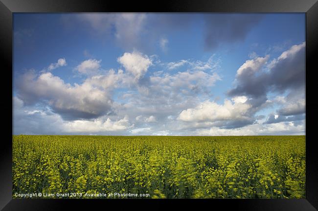Clouds over field of Rape, Egmere, Walsingham, Nor Framed Print by Liam Grant