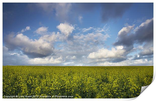 Clouds over field of Rape, Egmere, Walsingham, Nor Print by Liam Grant