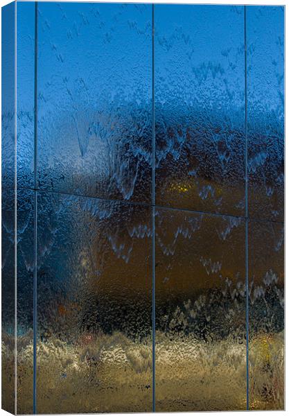 Wet Reflections Canvas Print by Mark Llewellyn