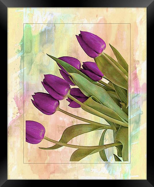 Painterly Tulips Framed Print by Rosanna Zavanaiu