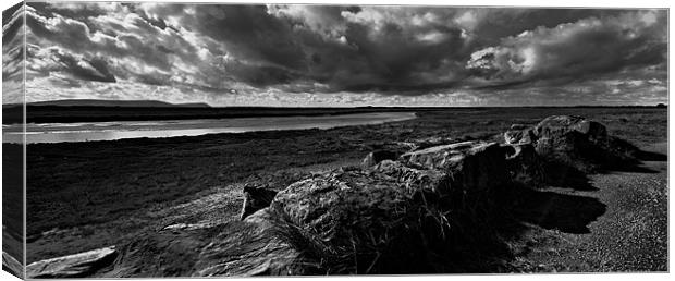 Saltmarsh and stormclouds Canvas Print by Paul May