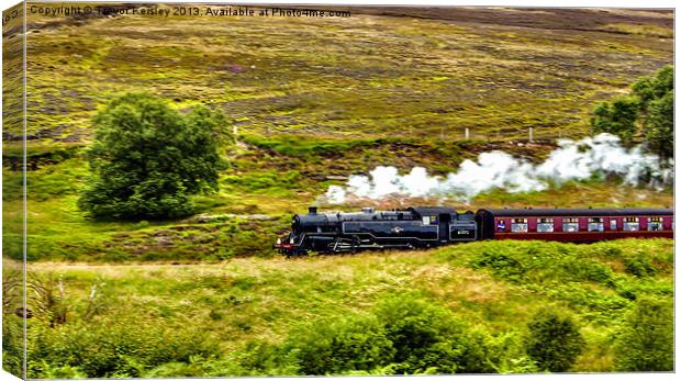 Traveling Through The Moors Canvas Print by Trevor Kersley RIP