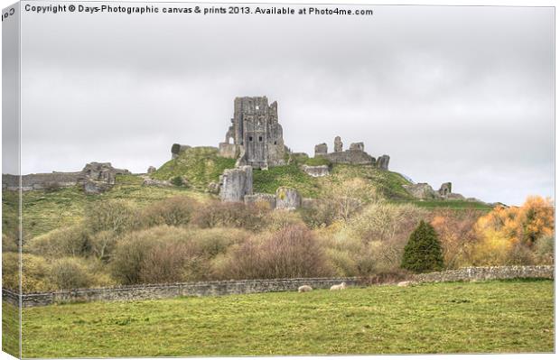 Corfe Castle Canvas Print by Chris Day