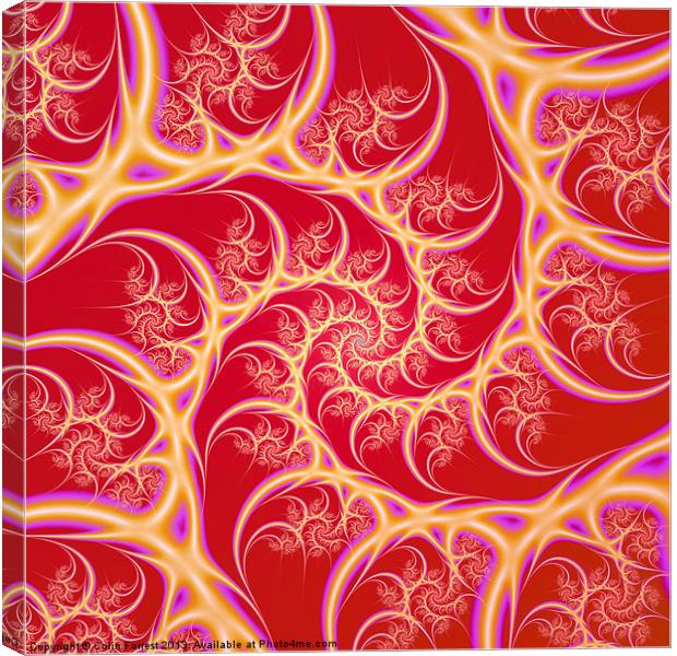 Red Spiral Canvas Print by Colin Forrest