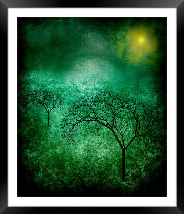 Bare Trees. Framed Mounted Print by Debra Kelday