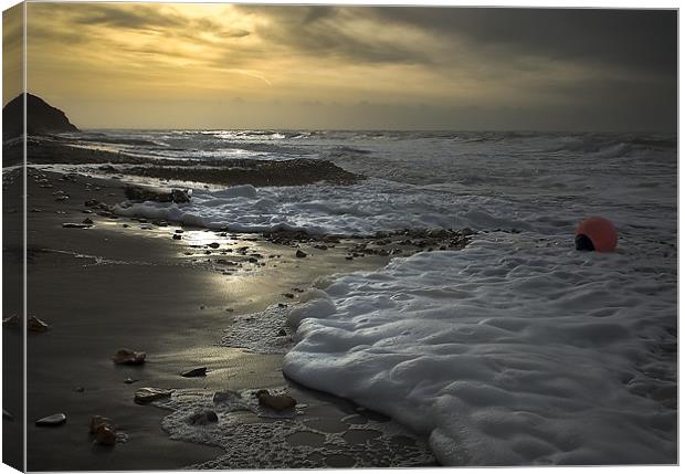 All washed up on a Winters Beach Canvas Print by Ian Johnston  LRPS