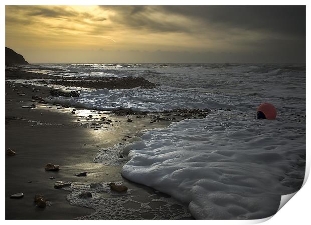 All washed up on a Winters Beach Print by Ian Johnston  LRPS