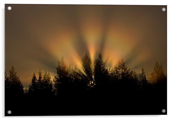New dawn light Acrylic by Nigel Atkinson
