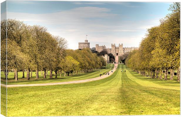 Windsor Castle and Park Canvas Print by Simon West