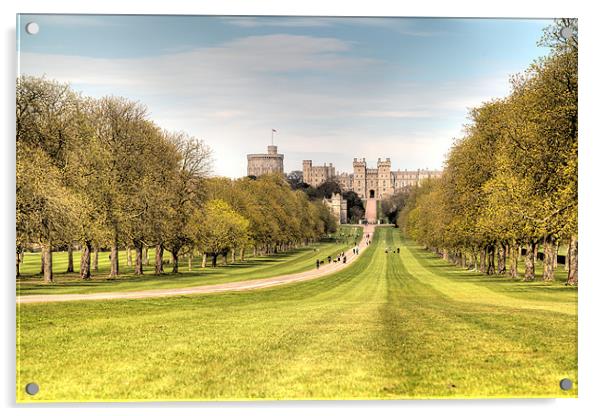 Windsor Castle and Park Acrylic by Simon West