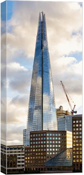 The Shard, from London Bridge Canvas Print by Steve Wilcox