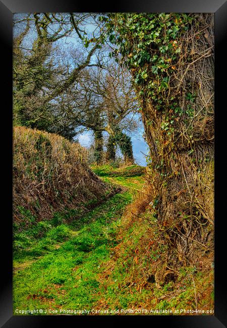 A Norfolk Country Lane Framed Print by Julie Coe