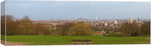 London from Parliament Hill Canvas Print by Steve Wilcox