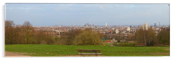 London from Parliament Hill Acrylic by Steve Wilcox