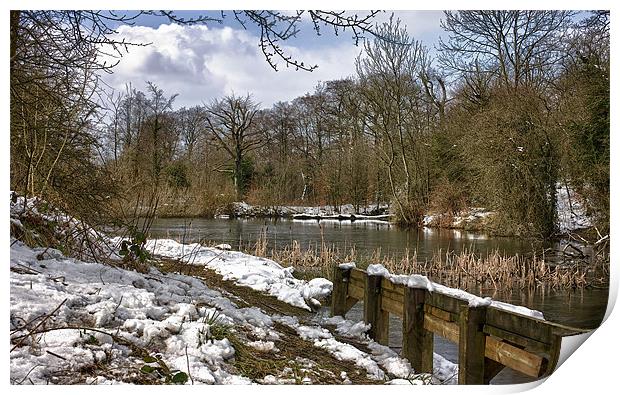 Park Lime Pits In Winter Print by Steve Wilcox