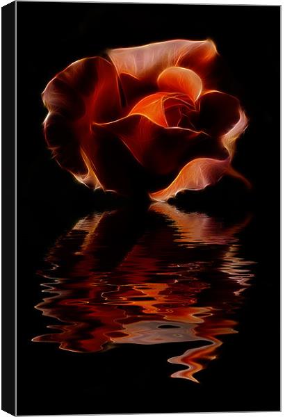 rose phone case Canvas Print by pixelviii Photography