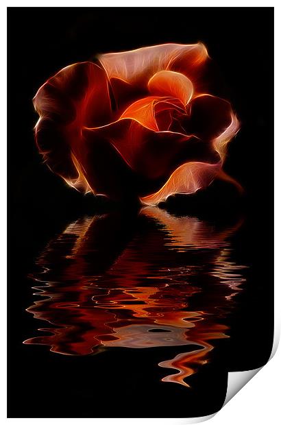 rose phone case Print by pixelviii Photography