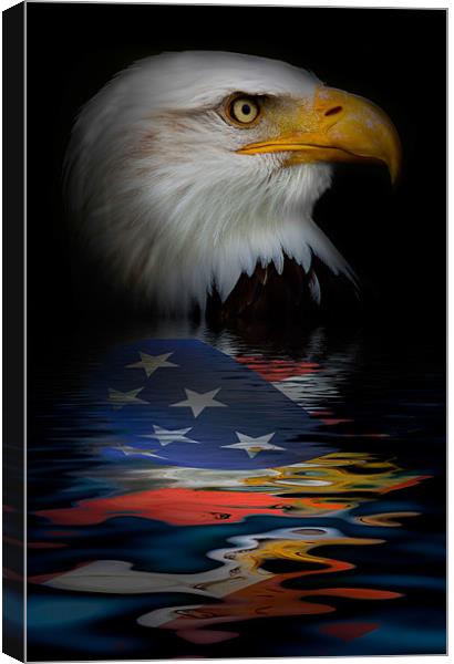 American Eagle Phone Case Canvas Print by pixelviii Photography