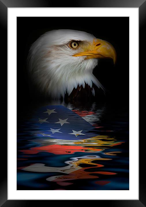 American Eagle Phone Case Framed Mounted Print by pixelviii Photography