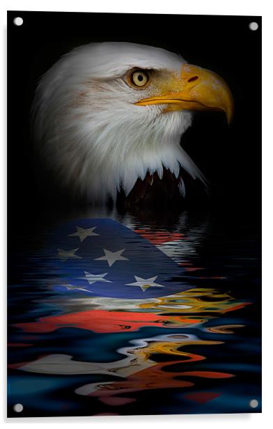 American Eagle Phone Case Acrylic by pixelviii Photography