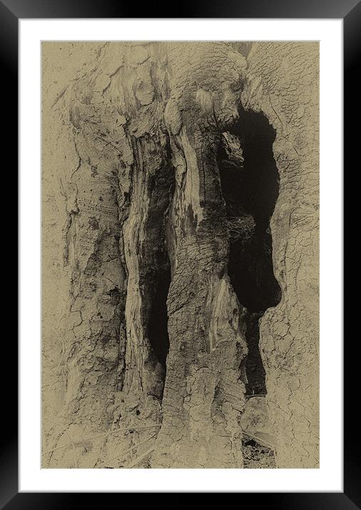 Rippled Bark iPhone case Framed Mounted Print by pixelviii Photography