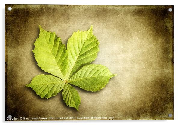 Horse Chestnut Leaf Acrylic by Ray Pritchard
