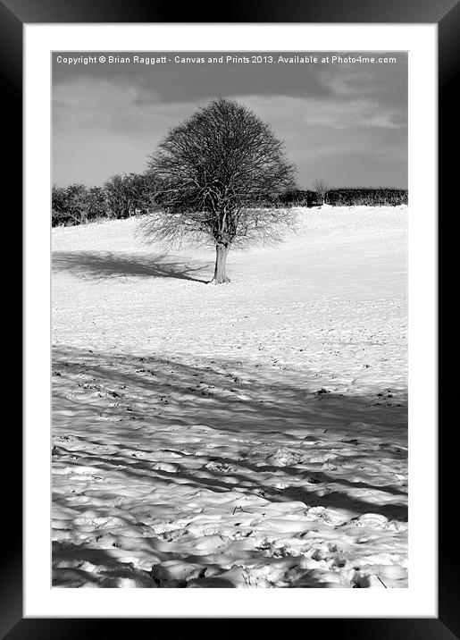 Tree on snow hill Framed Mounted Print by Brian  Raggatt