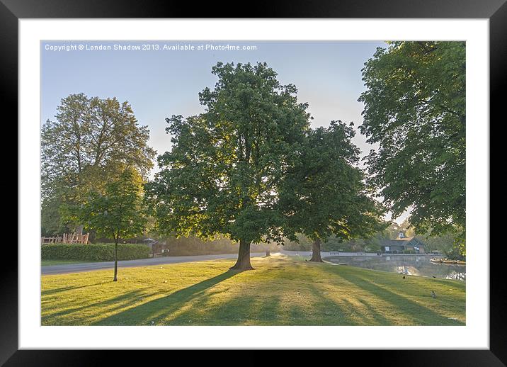 Sunrise in the park Framed Mounted Print by London Shadow