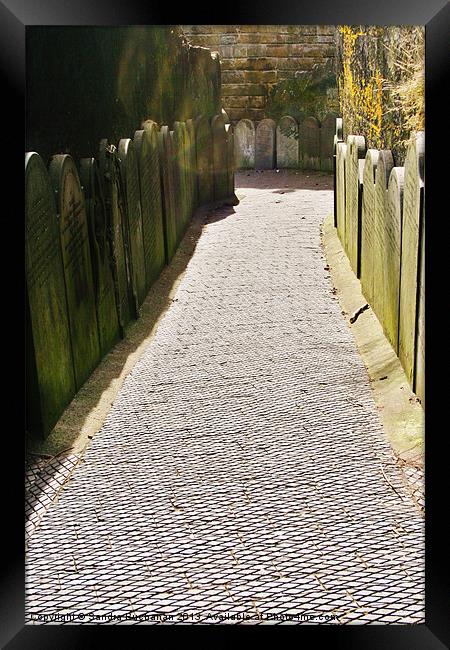 Pathway To The Past Framed Print by Sandra Buchanan