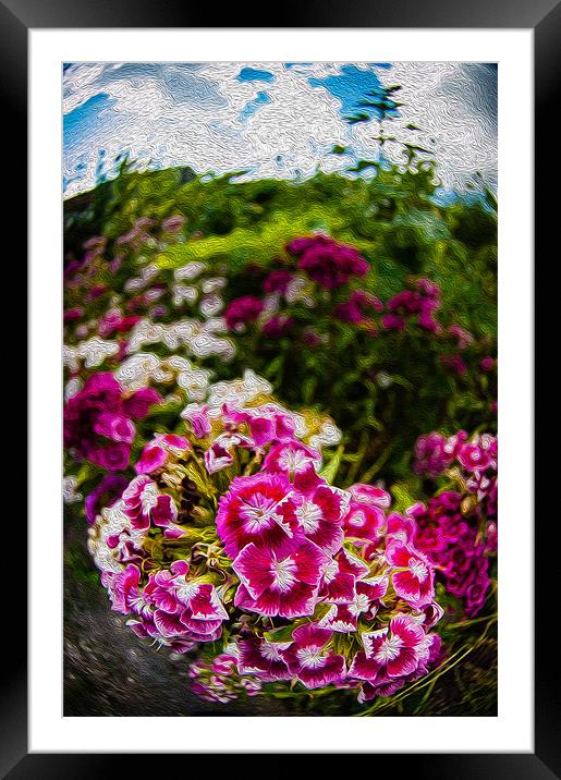 Pink Flowers Framed Mounted Print by Mark Llewellyn