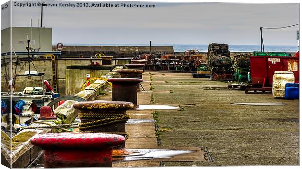 Along the Harbour Seahousres Canvas Print by Trevor Kersley RIP