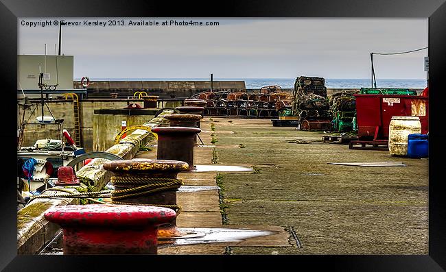 Along the Harbour Seahousres Framed Print by Trevor Kersley RIP