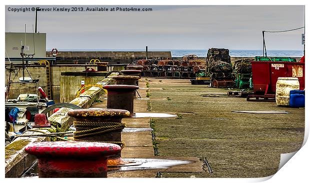 Along the Harbour Seahousres Print by Trevor Kersley RIP