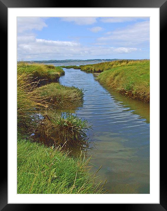 Salt Marsh Stream Framed Mounted Print by philip clarke