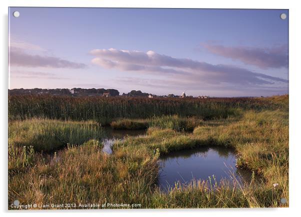 Marshes and Windmill. Cley-next-the-Sea, Norfolk,  Acrylic by Liam Grant