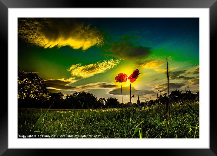 Two Poppys Framed Mounted Print by Ian Purdy