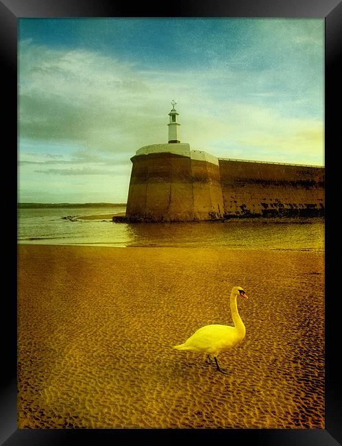 The Harbour Master Framed Print by clint hudson