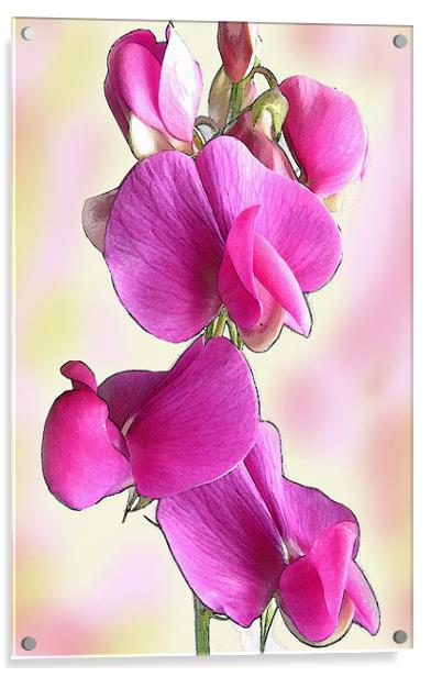 Pink Flower Acrylic by Jacqi Elmslie