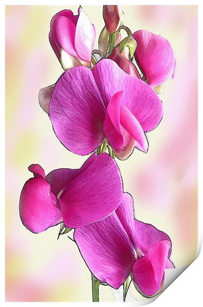 Pink Flower Print by Jacqi Elmslie
